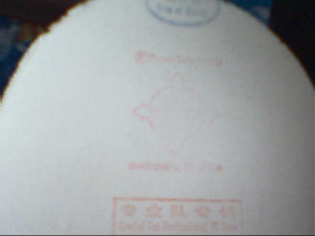 ��ʡ��ר�ý�Ƥ����ħ��������רҵ��