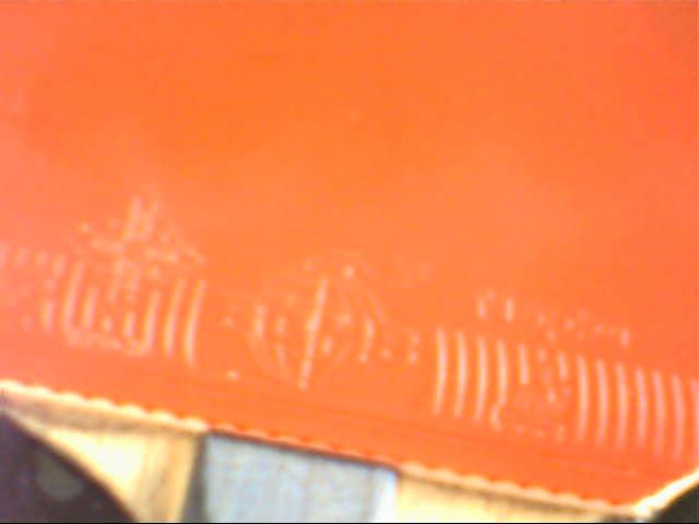 ��ʡ��ר�ý�Ƥ����ħ��������רҵ��