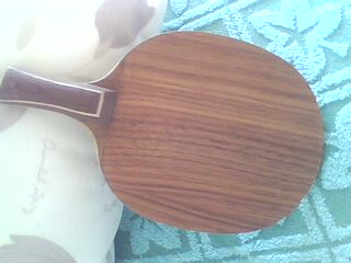 �������ƻ�����ģ��������ʷ�����ϳ���,���� �����ר�õװ�