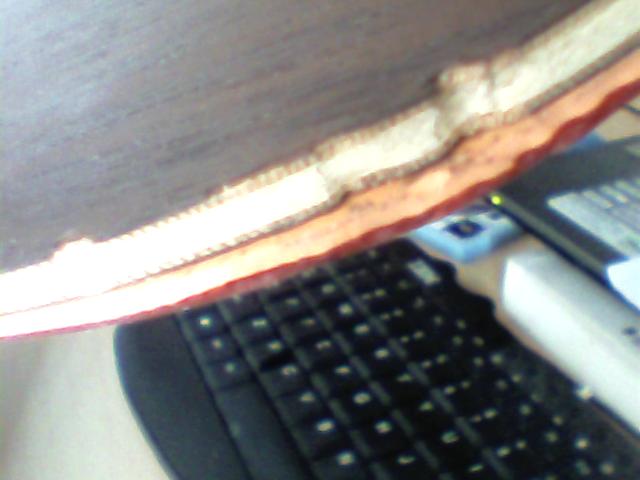 [����]���˵װ屻��ݿĳ��˲з�