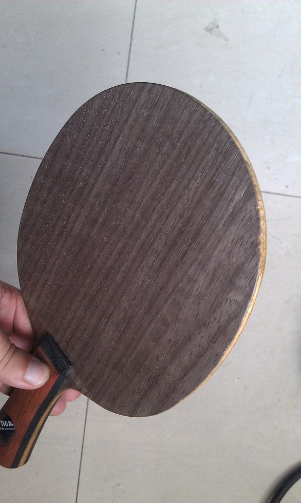 ���������յ�ʮ���¡�����STIGA����б����OC