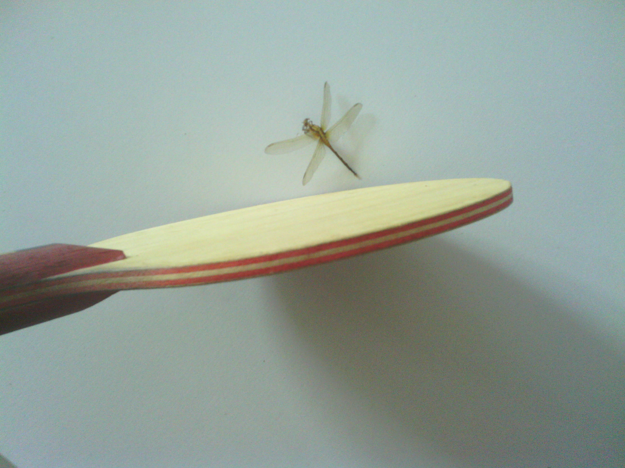 [ԭ��]���籩���š�Ʒ��� ̨���CL ����� ˹�׶����ULTRA POWER�� 228��Բͨ