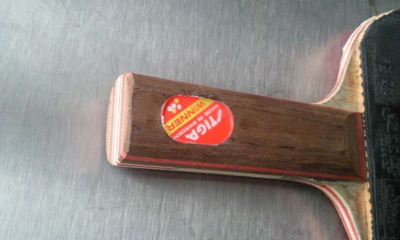 ���µ»��ı�������