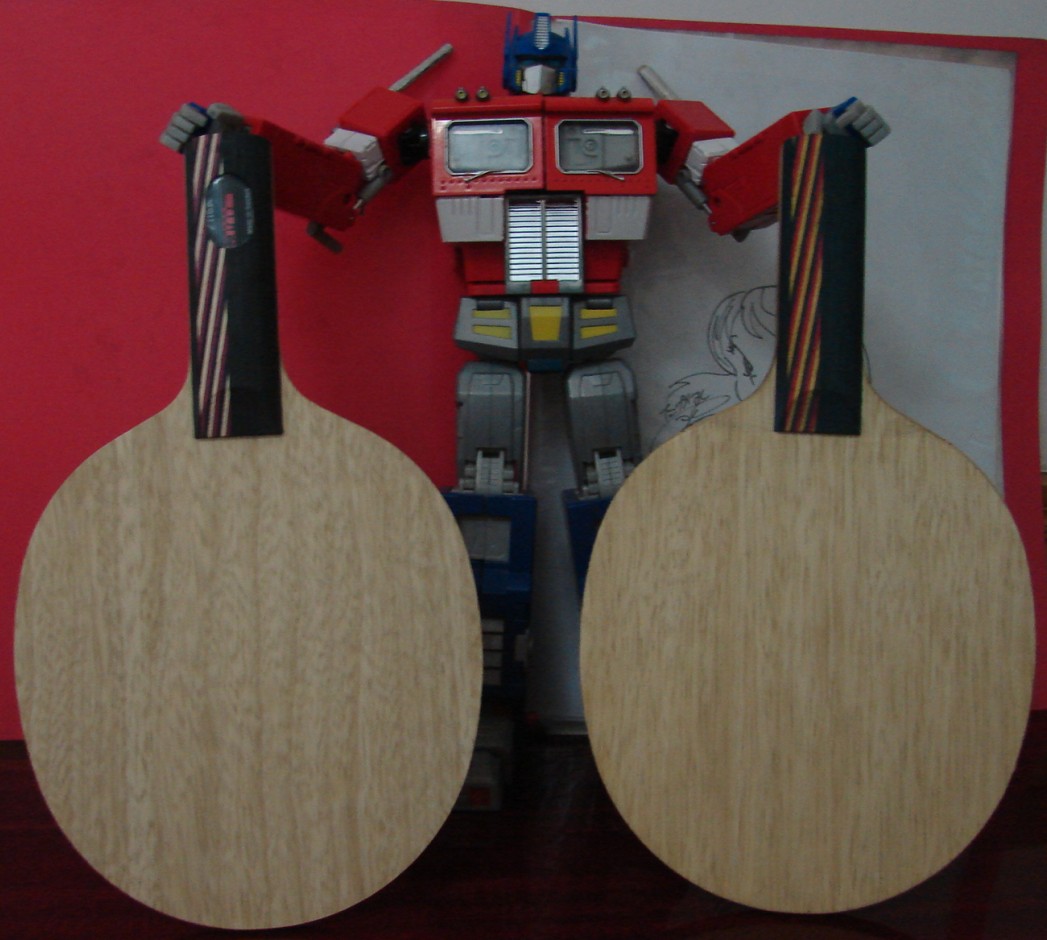 ��ST ��˹̼�� ̼�ؿ�����