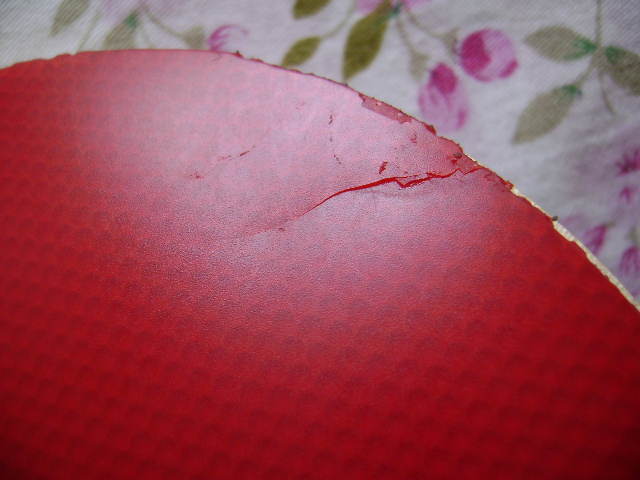 ʡ�� ����˰������ �л�FL�� ��̴7���500