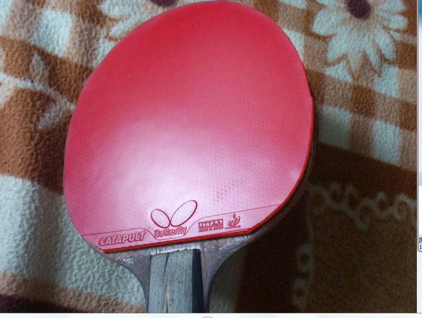 ��֡�������8�Ž�Ƥ���Żݵļ۸�