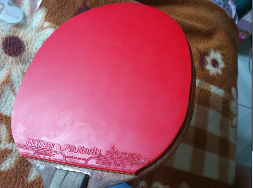 ��֡�������8�Ž�Ƥ���Żݵļ۸�