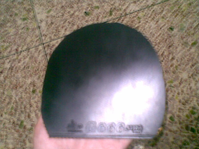 �����Լ�����ŷ��YEO