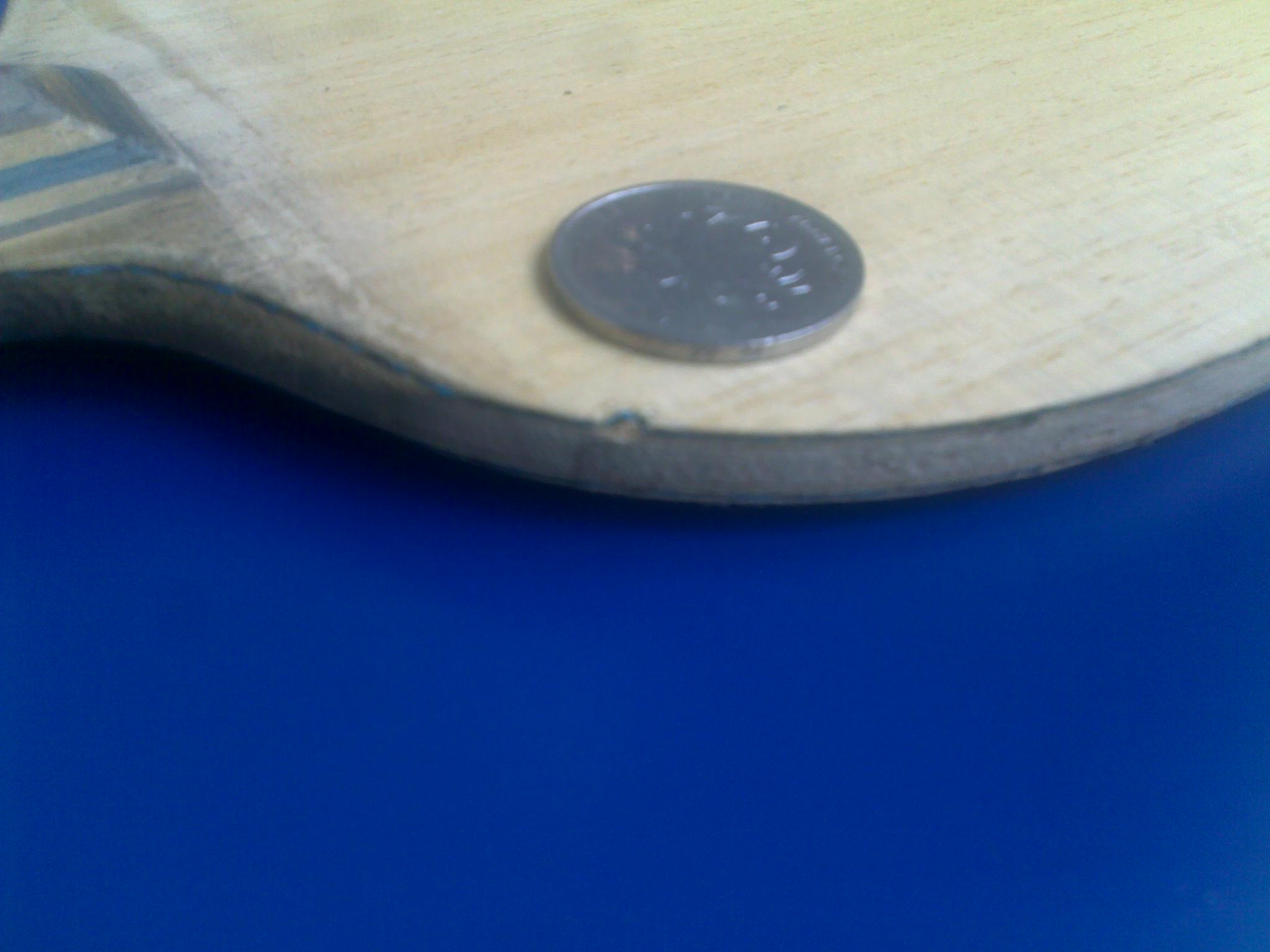 �¿������