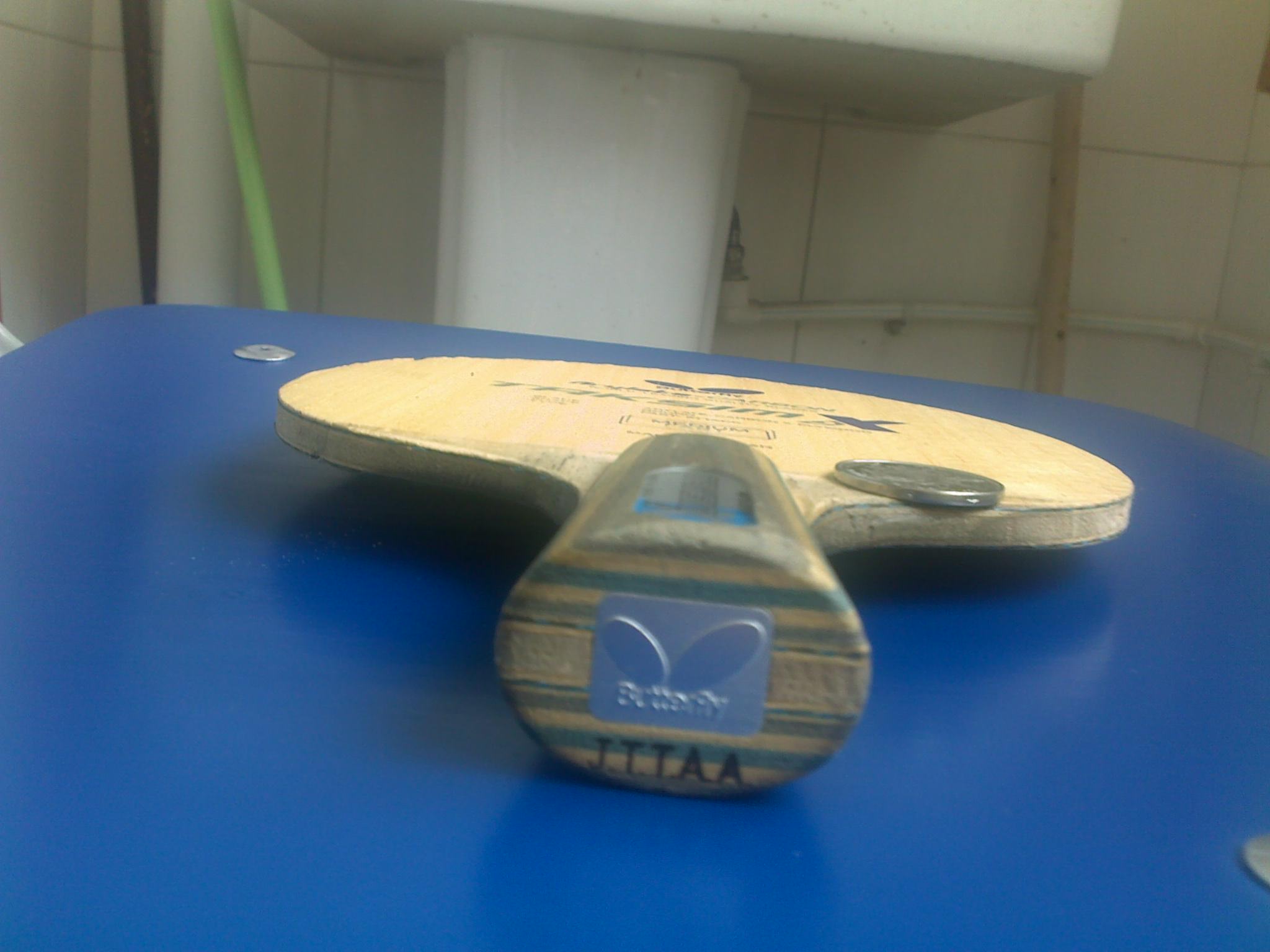 �¿������