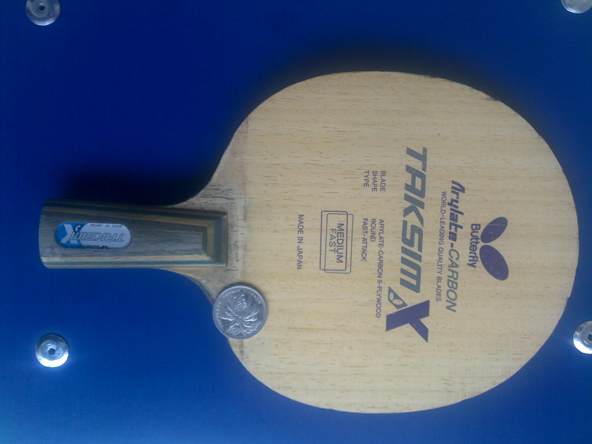 �¿������