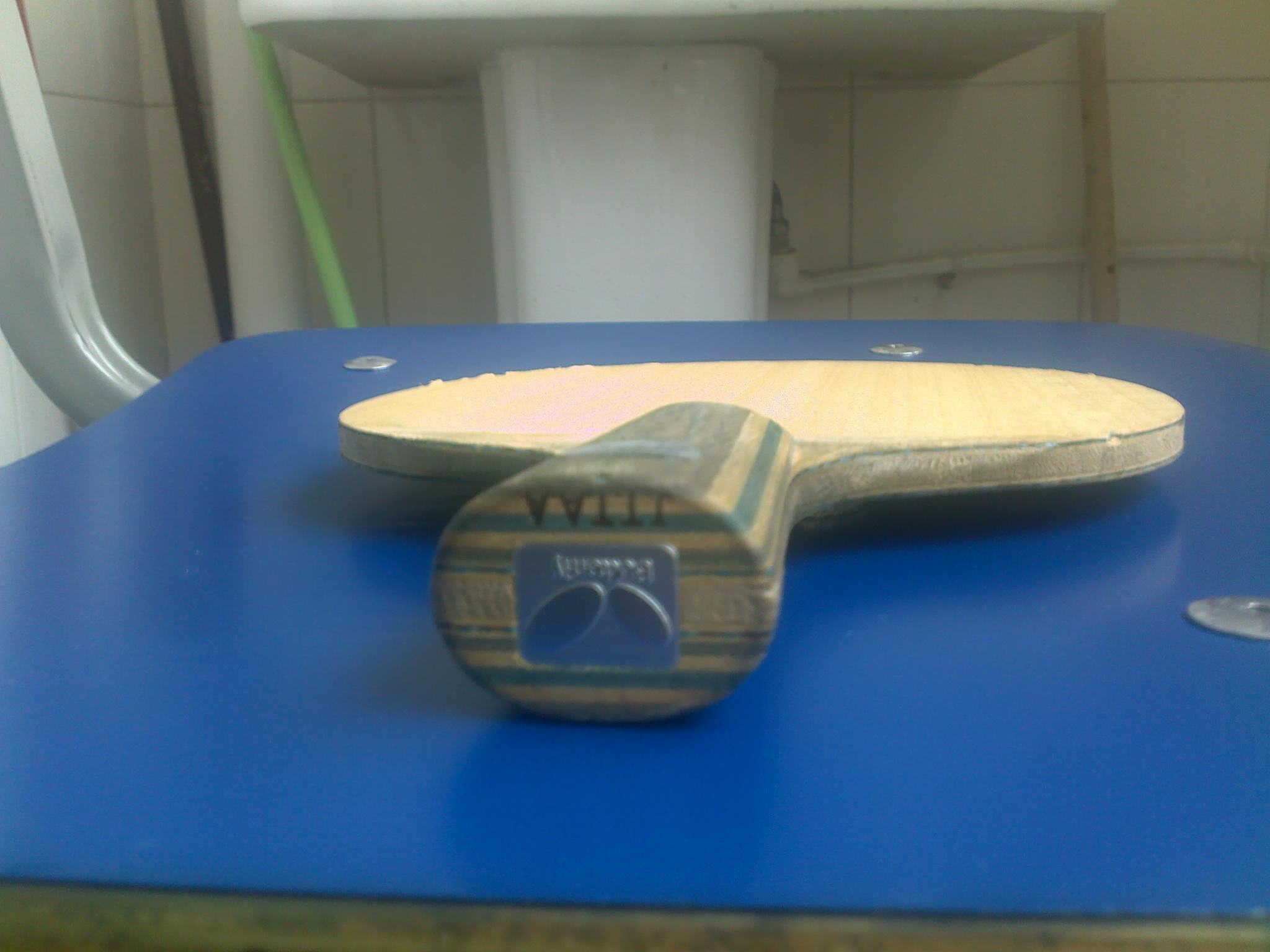 �¿������