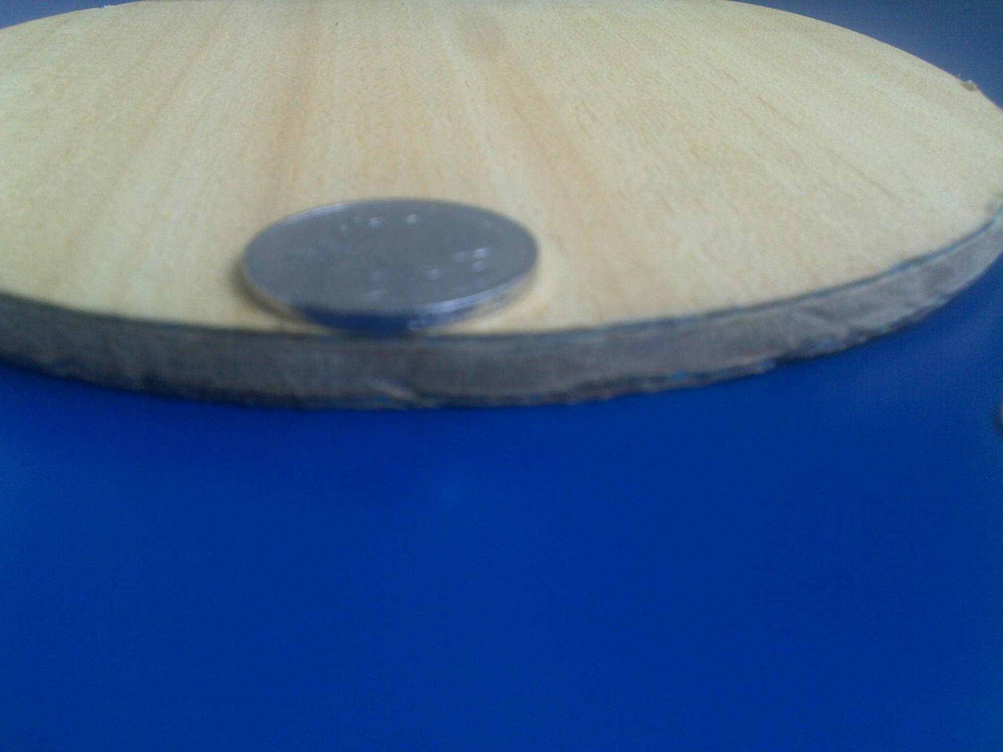 �¿������