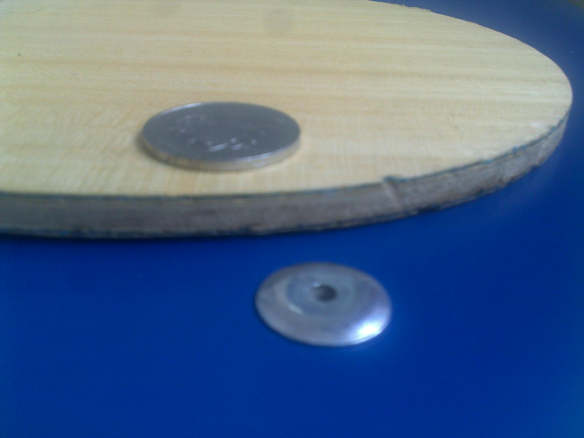 �¿������