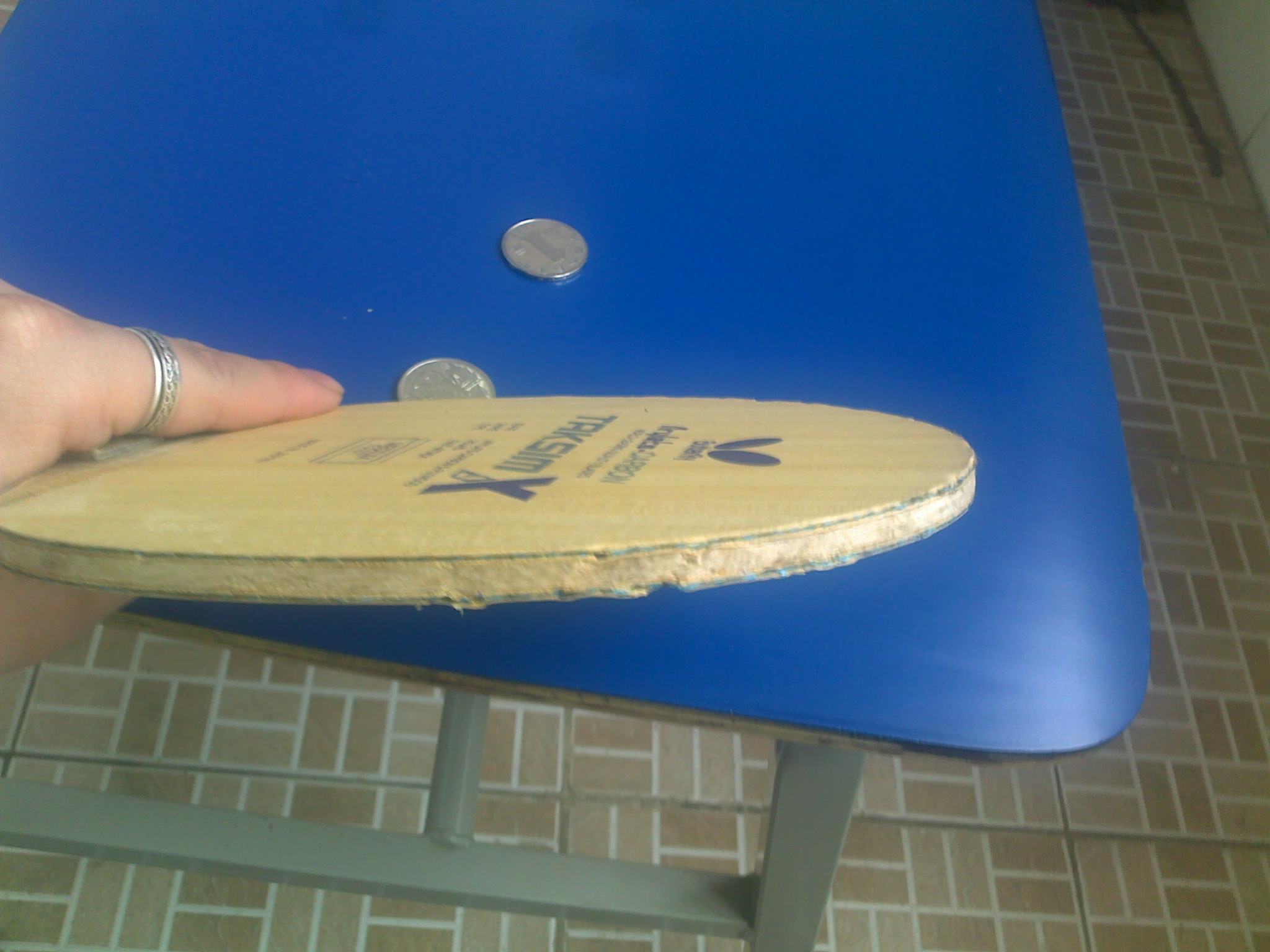 �¿������