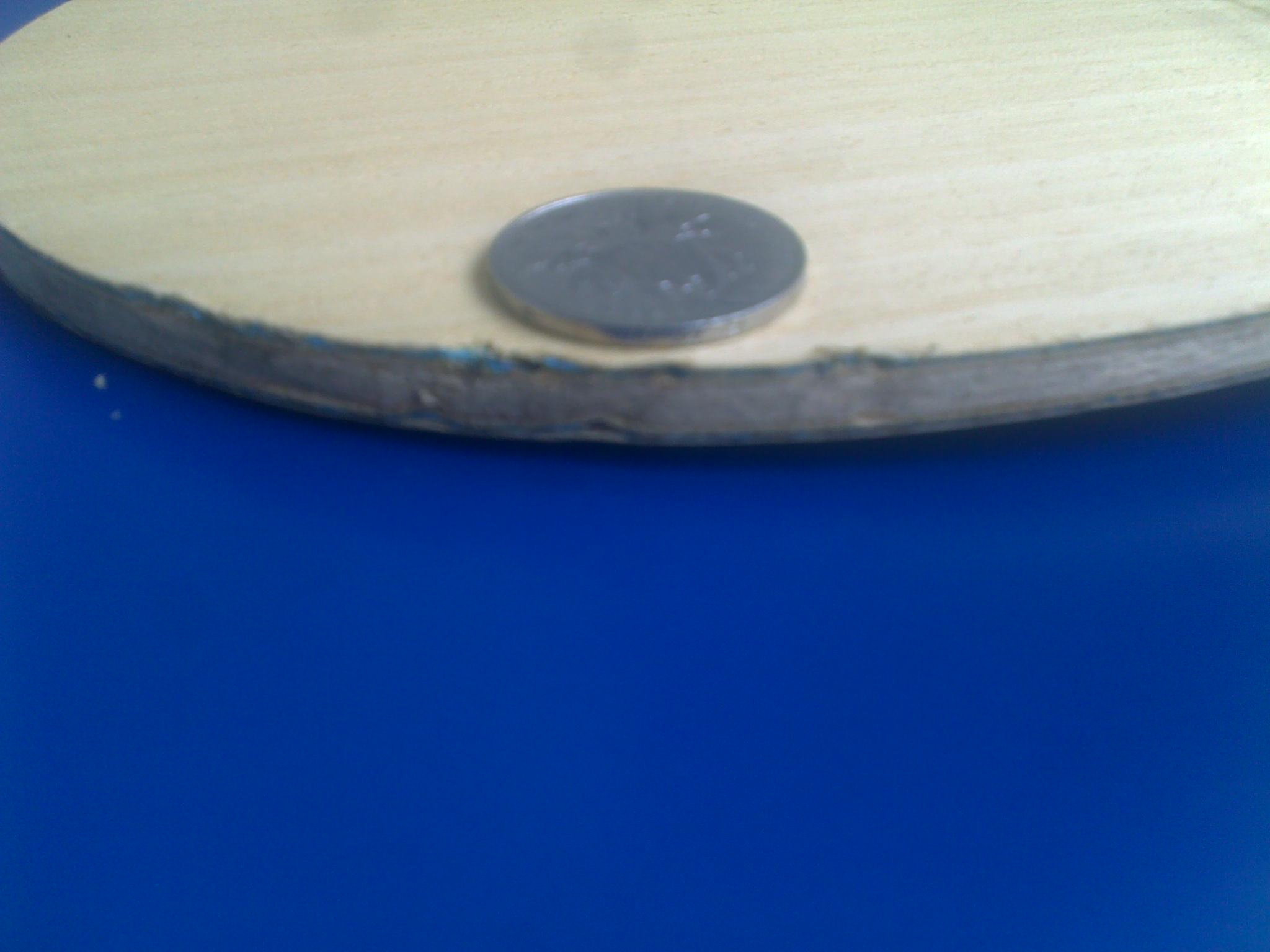 �¿������