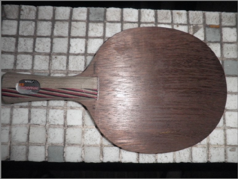 �����ۡ�STIGA T5.4�Լ����ƺ�����̼