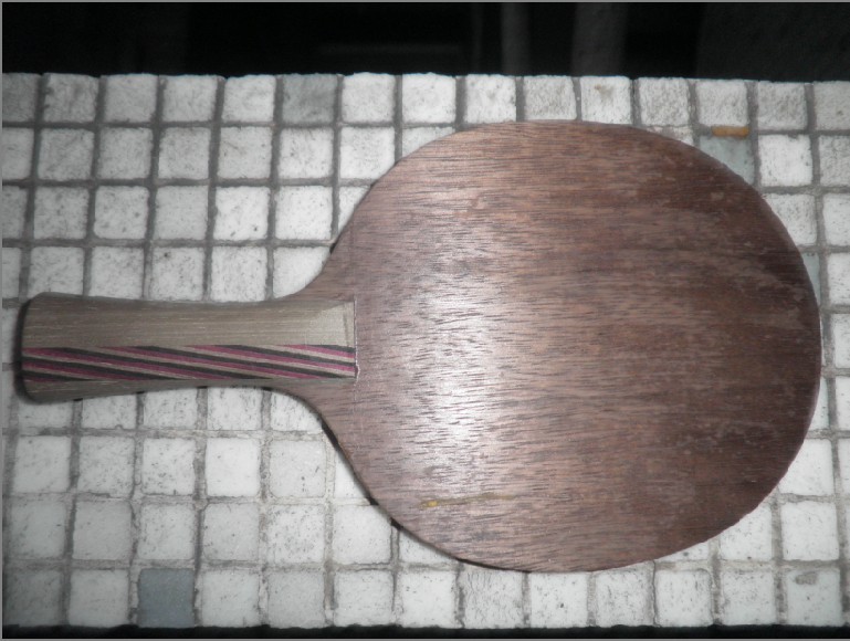 �����ۡ�STIGA T5.4�Լ����ƺ�����̼