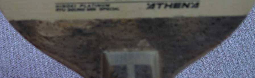 [ԭ��][ԭ��]���ѳ�һ֧���׽���ֱ����