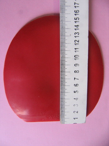 �����н�Ƥ̫��,�ײ˼۳�������Ҫ���ֵ�����.