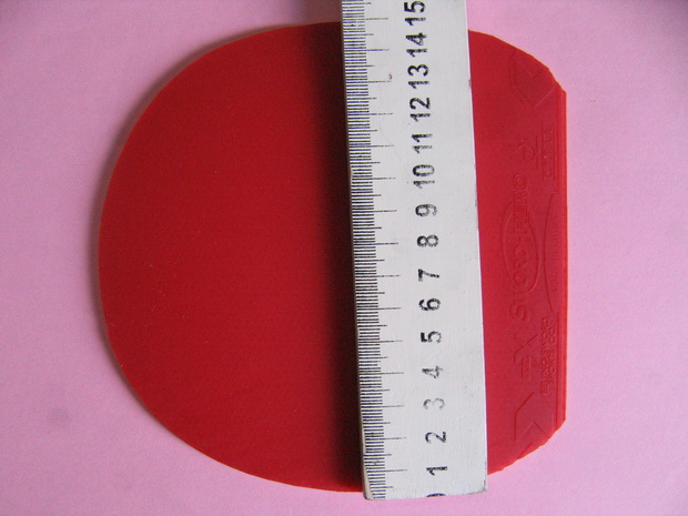 �����н�Ƥ̫��,�ײ˼۳�������Ҫ���ֵ�����.