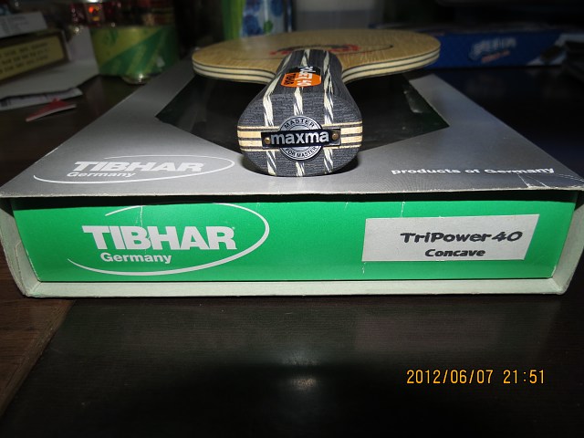 ͦ�γ�����������