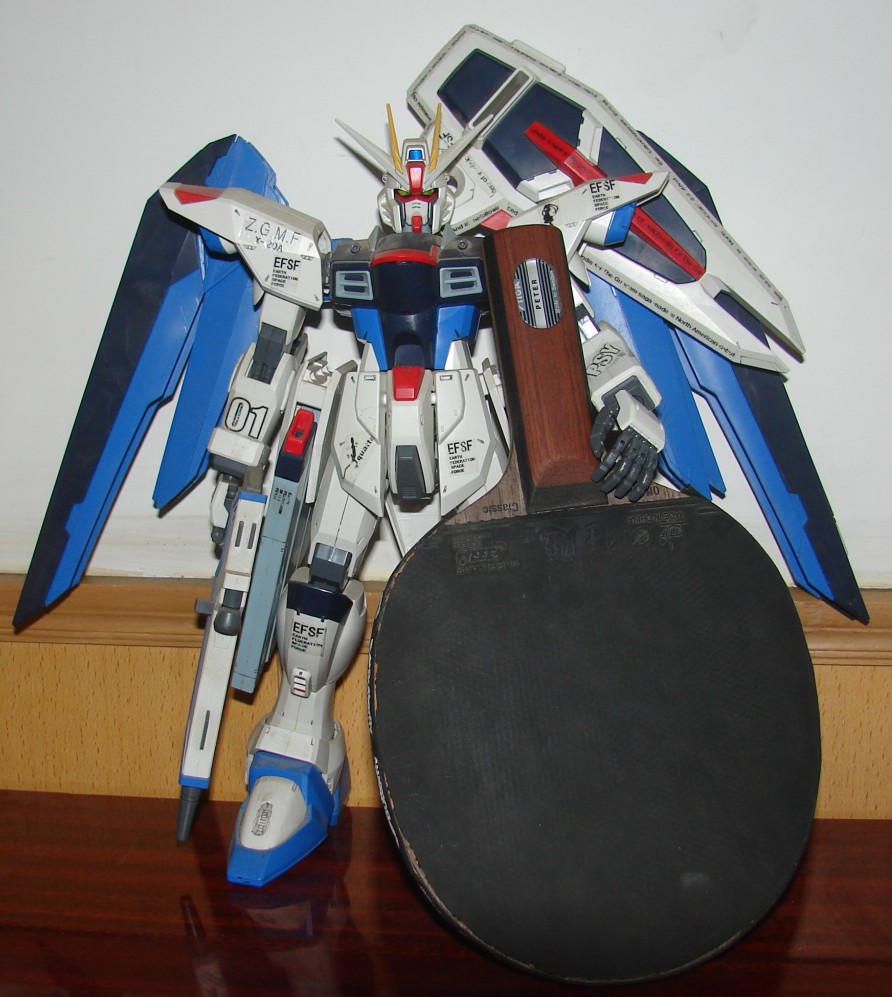 ������ ST�Ӷ� AC OC CL TO ��EG �Ʊ��� ��˹