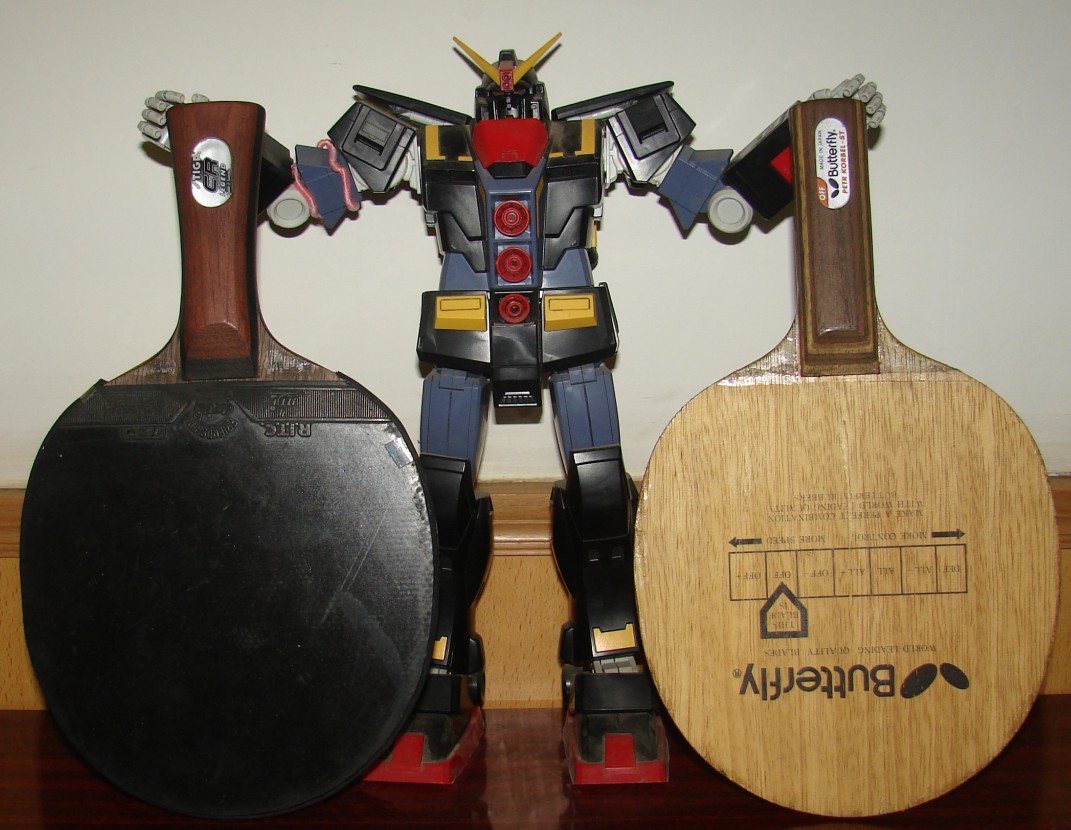 ������ ST�Ӷ� AC OC CL TO ��EG �Ʊ��� ��˹