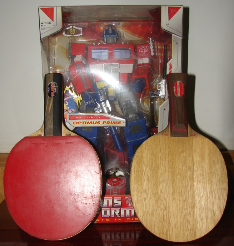 ������ ST�Ӷ� AC OC CL TO ��EG �Ʊ��� ��˹