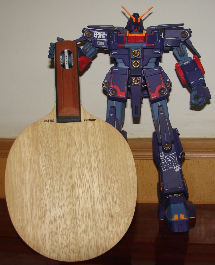 ������ ST�Ӷ� AC OC CL TO ��EG �Ʊ��� ��˹