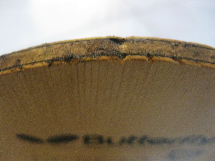 ��̼�����˾ͳ� 480��