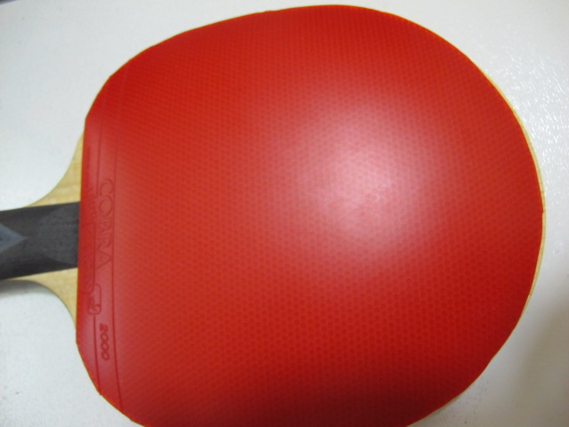 ֧�������켫825ֱ��