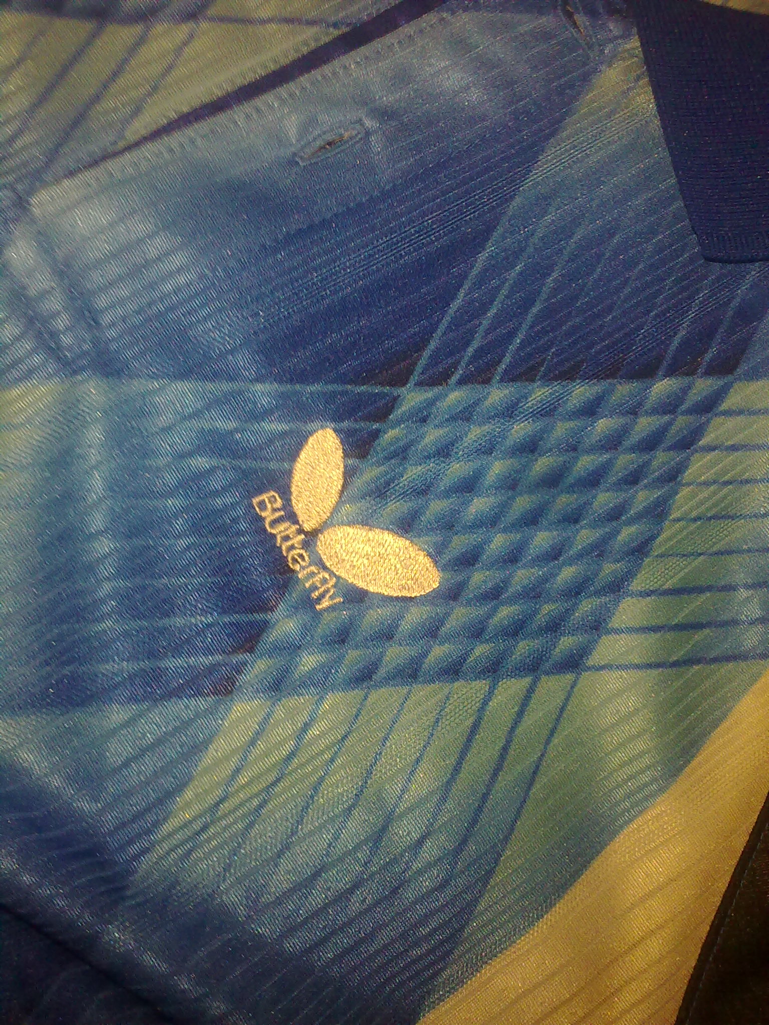 �ձ�ԭװ���صı�����