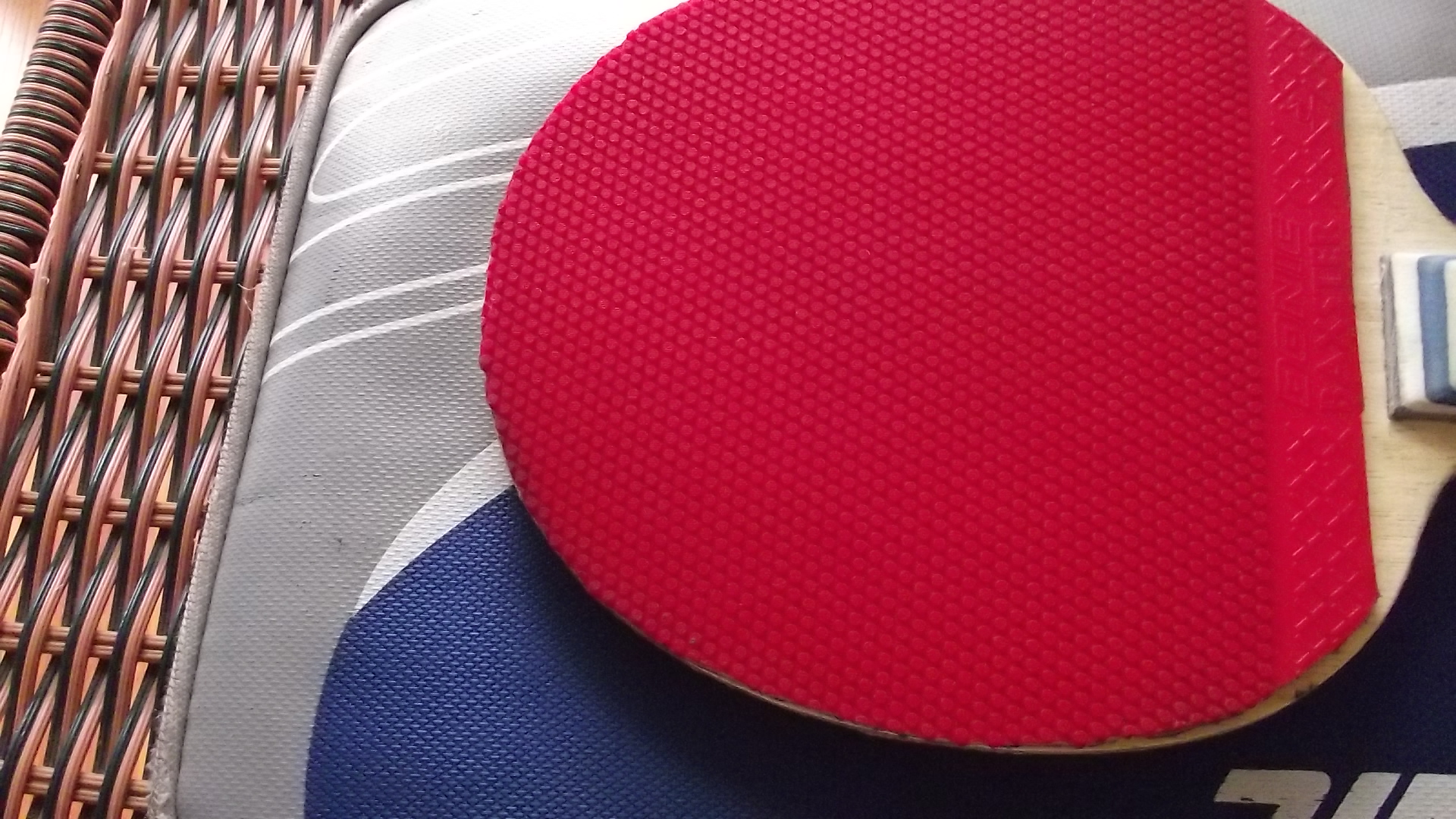 ���·��� ���� �ı��֣ɣӡ���ʣϡ������������