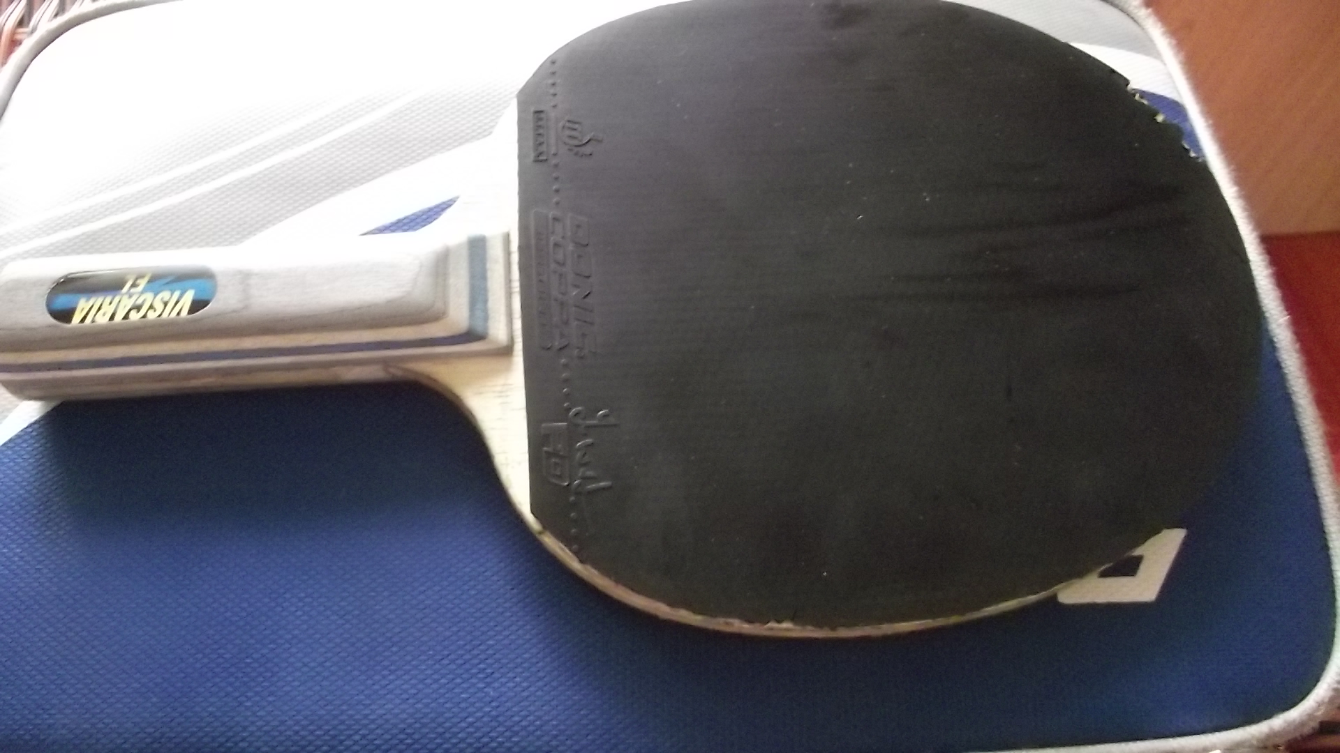 ���·��� ���� �ı��֣ɣӡ���ʣϡ������������