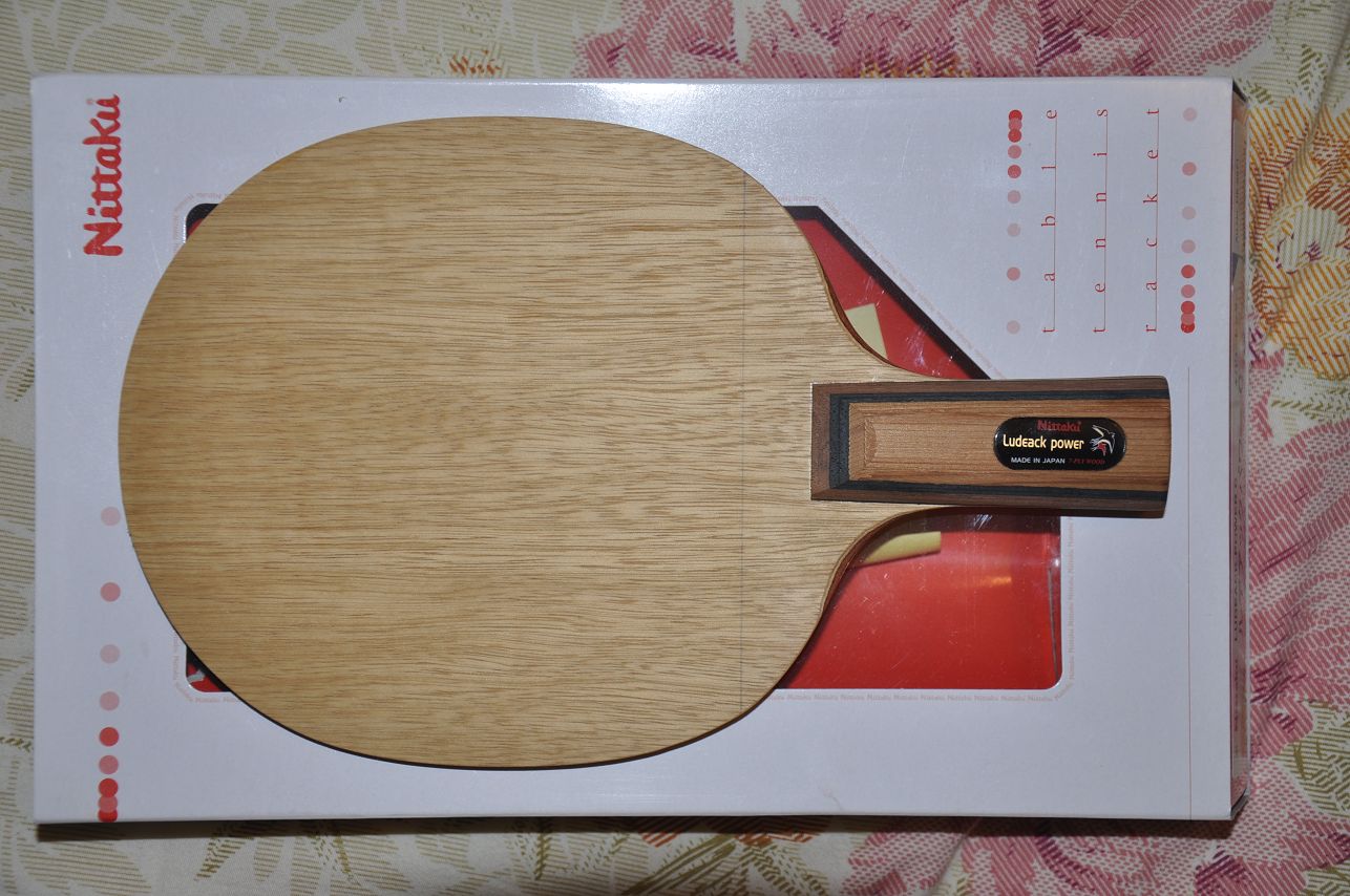 ������һ�����������ִ���