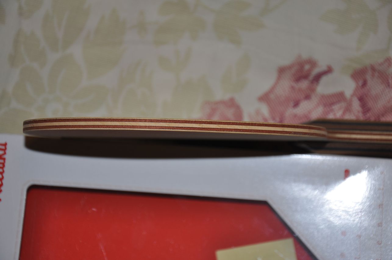 ������һ�����������ִ���