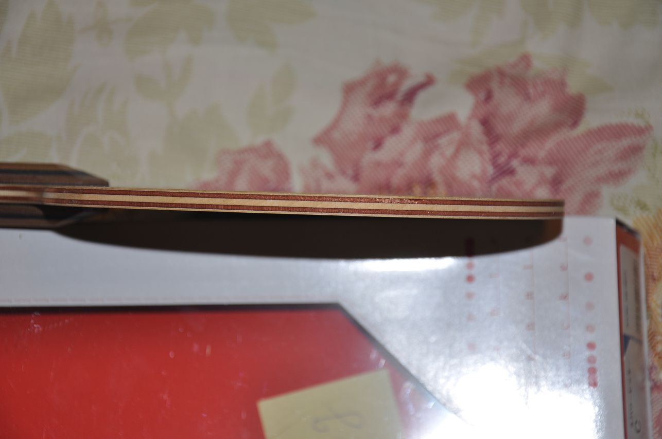 ������һ�����������ִ���