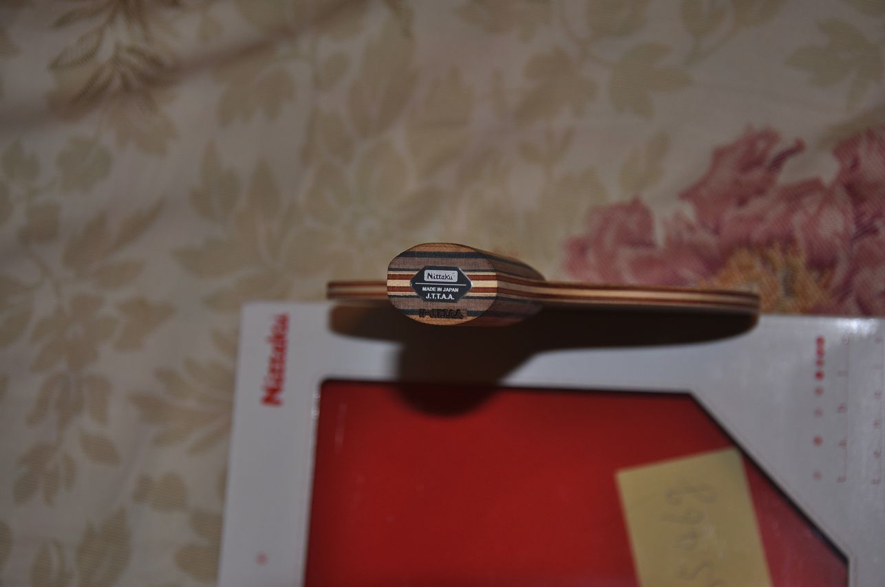 ������һ�����������ִ���