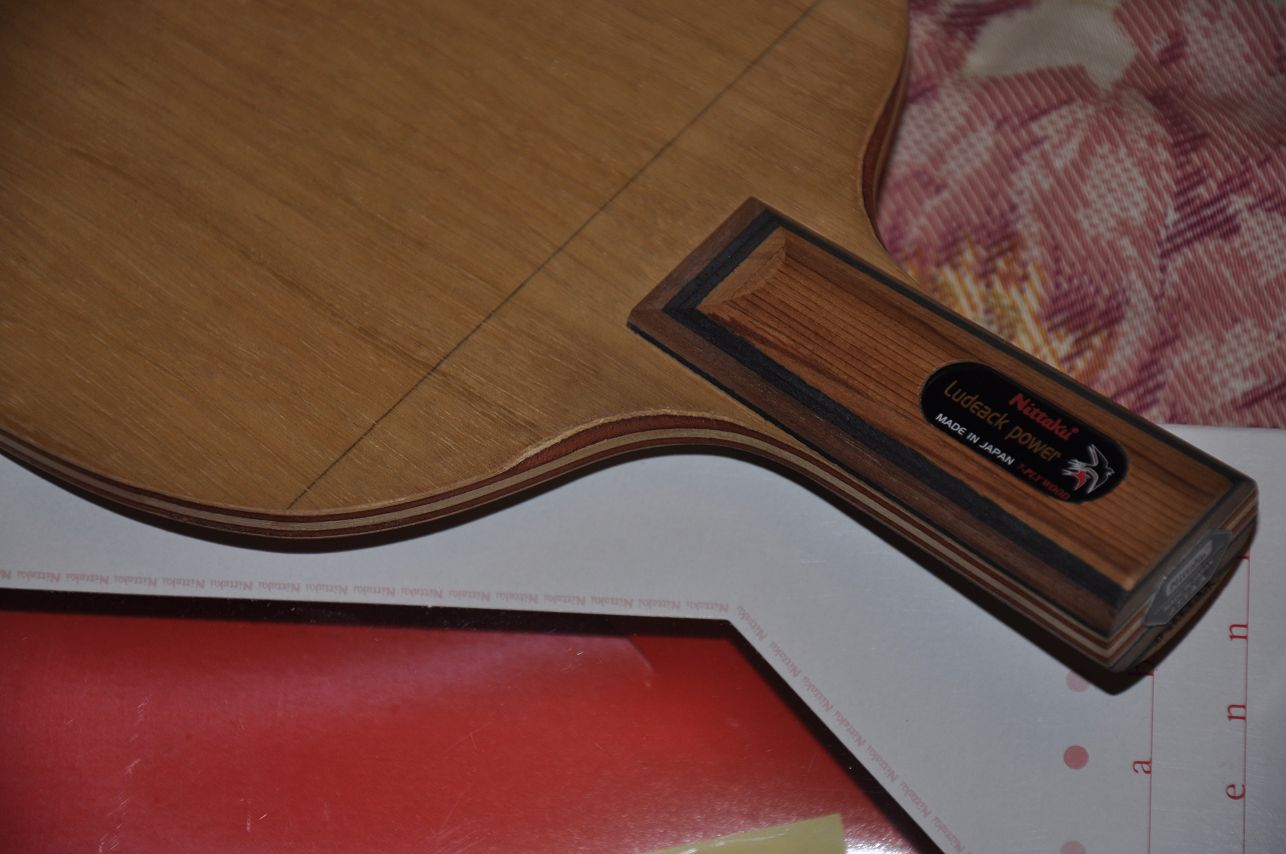 ������һ�����������ִ���