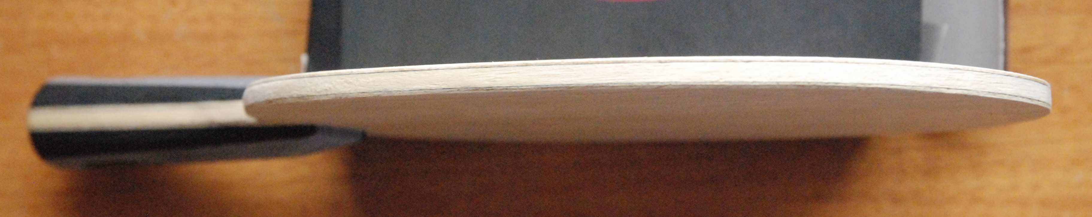 ŷ��YCA �������� 9���� �Ŵ����Ρ�