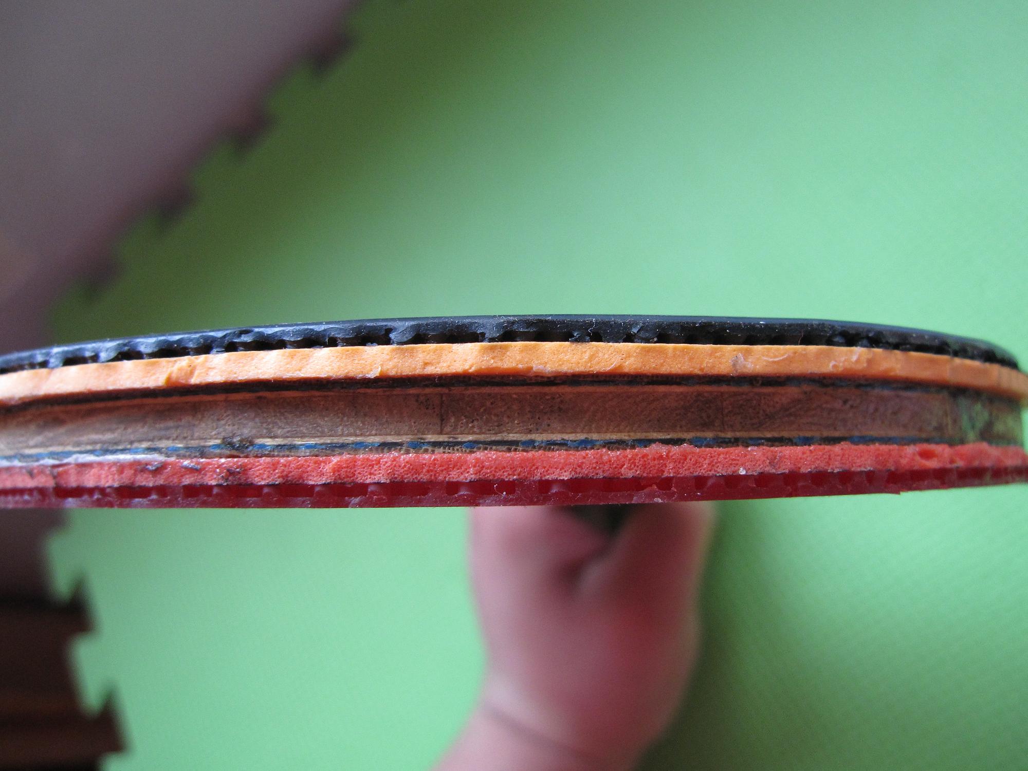 ����������������FL ��������