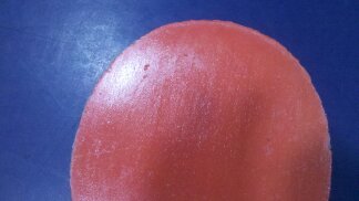 ������ZLC��05�����������1000�����