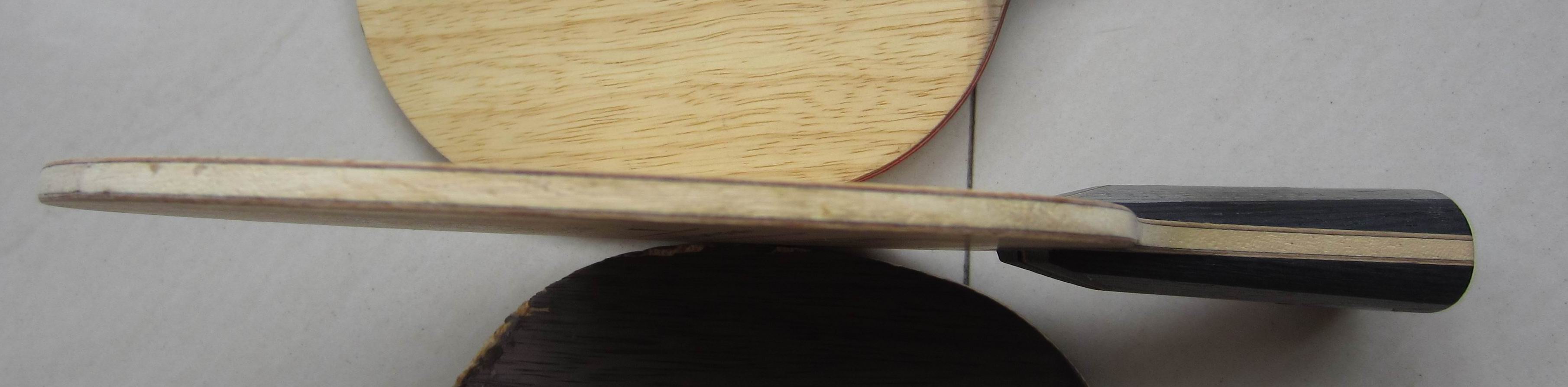 ������OC,CL��������̼��������������