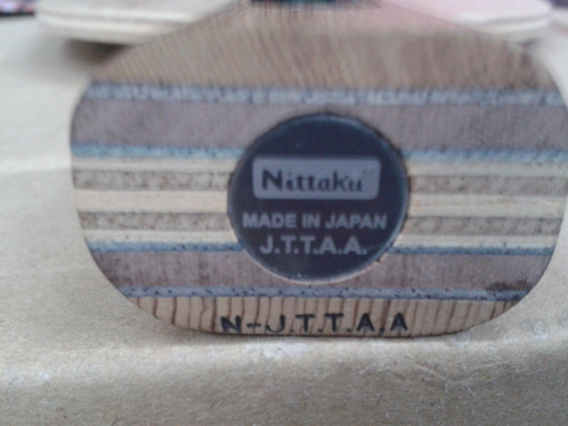 ���������������ִ��� �ȿ� ֧����