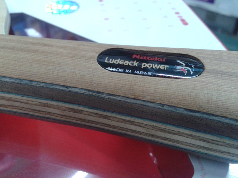 ���������������ִ��� �ȿ� ֧����