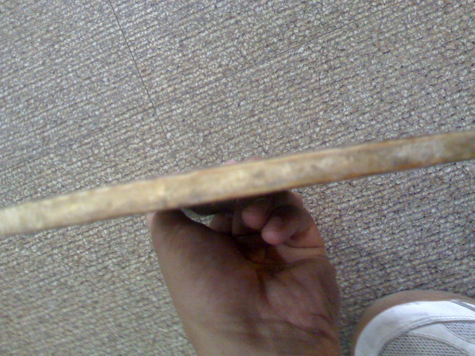 ���ѳ�һֻ����YEO