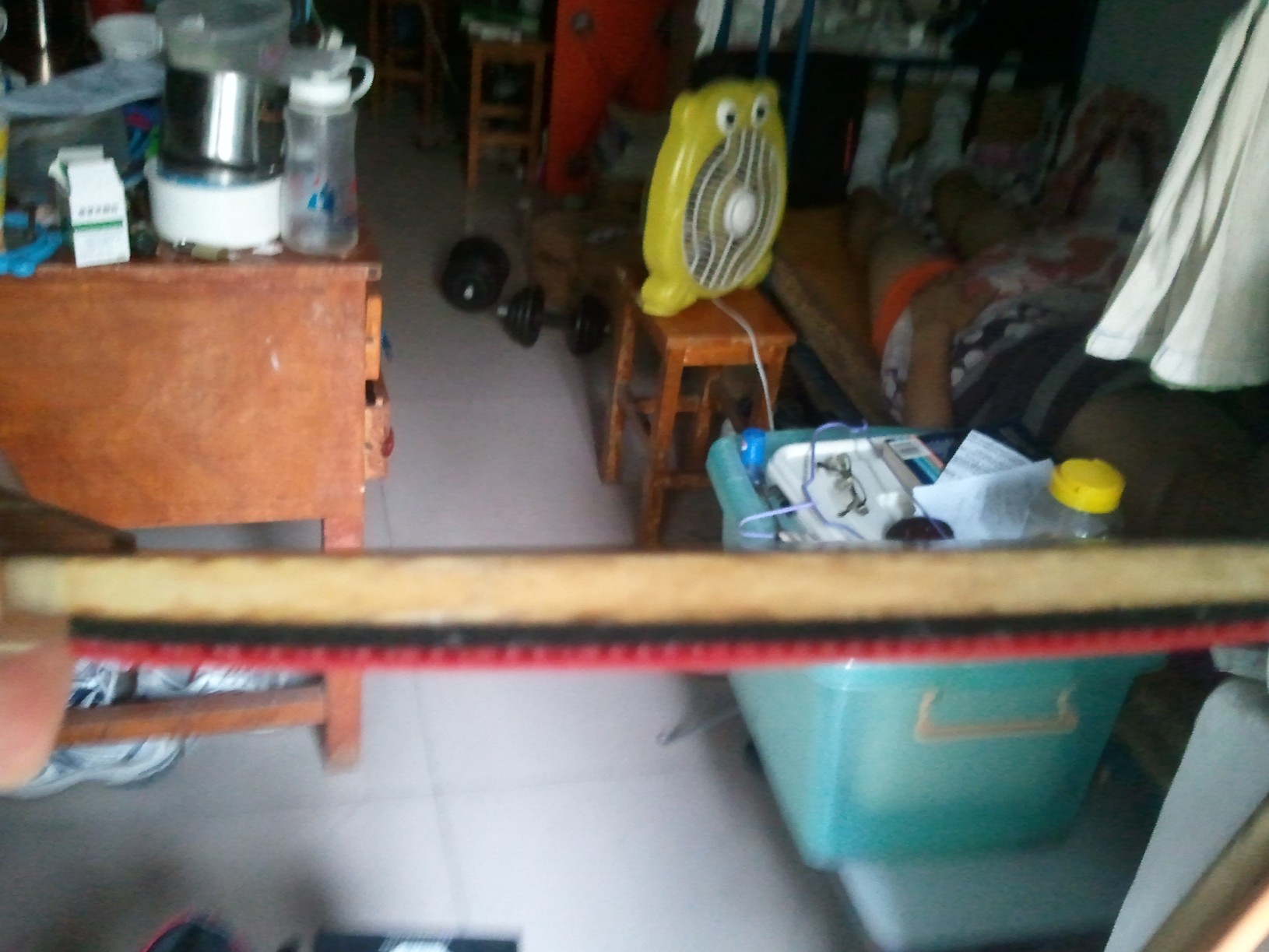 [ԭ]ݳлʤõ5