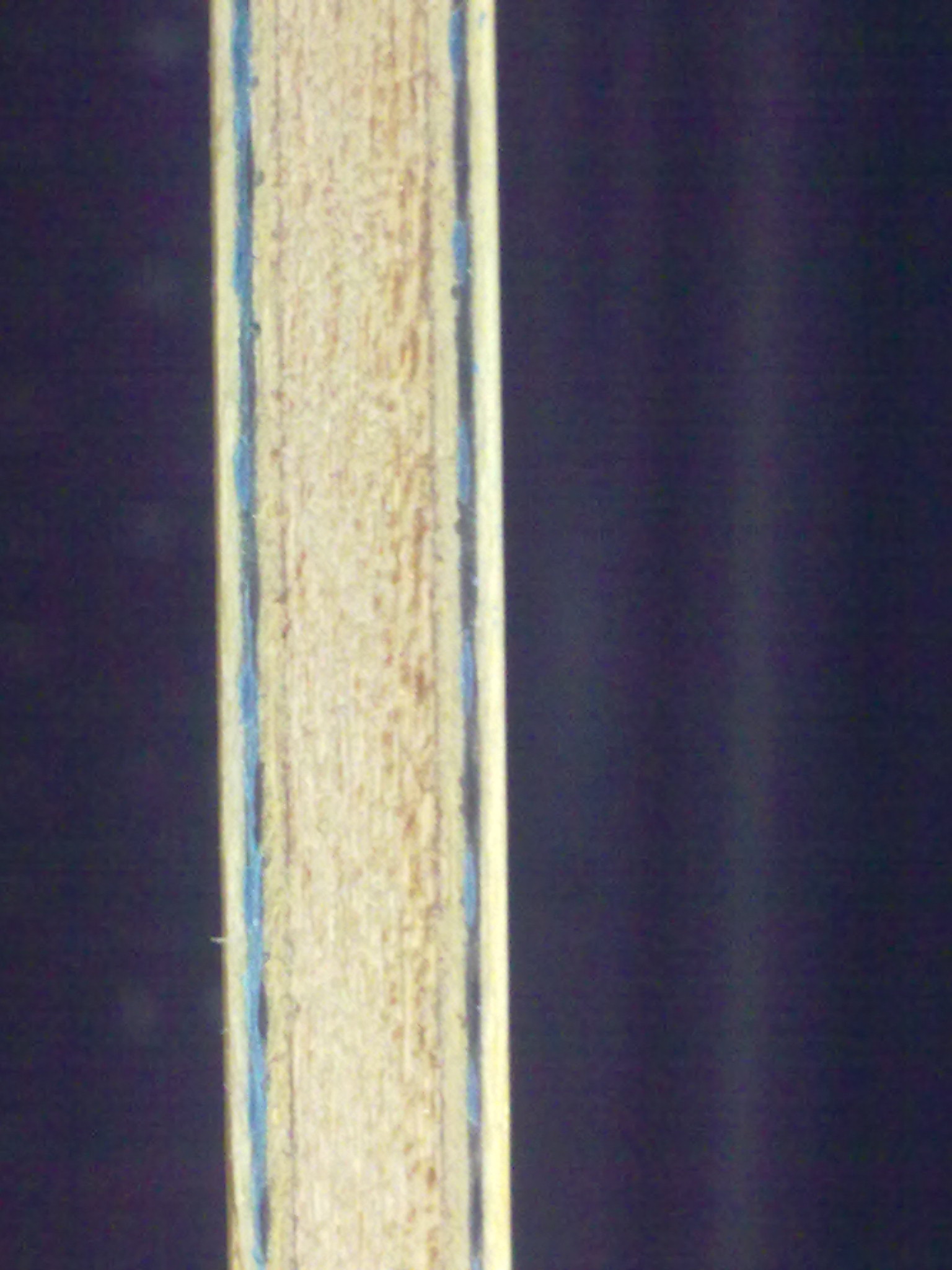 visλˣ-->qupiterת