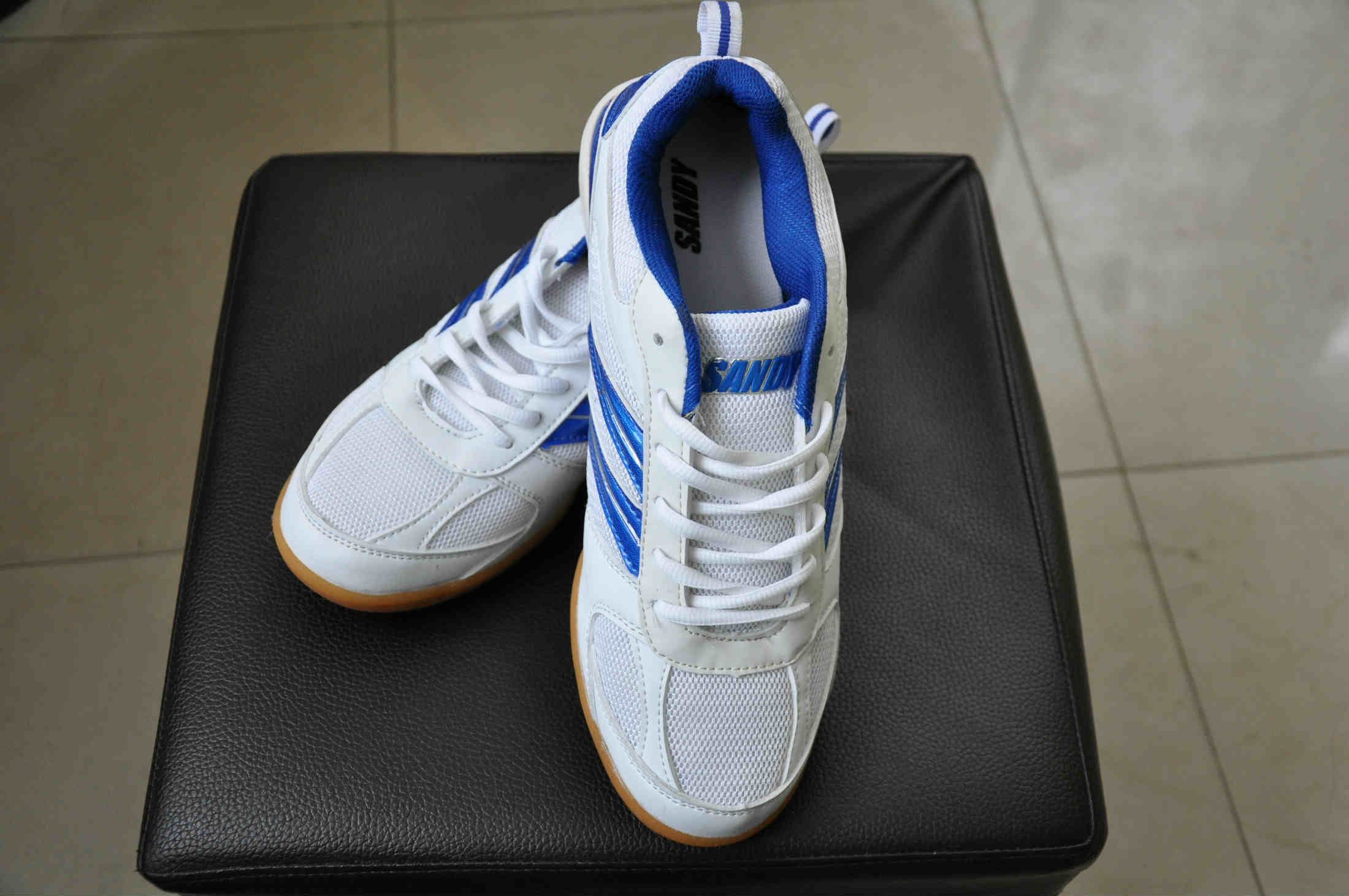 ���˳�ƹ����Ь